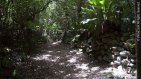 Petroglyph Trail